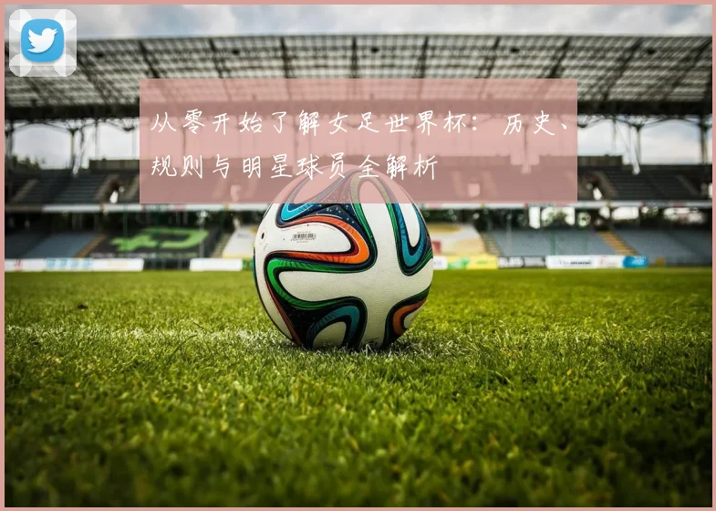 从零开始了解女足世界杯：历史、规则与明星球员全解析